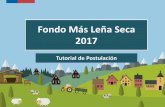 Fondo Más Leña Seca 2017 - energia.gob.cl · devuelto una vez realizado el proyecto. A través de una transferencia de recursos financia la construcción e implementación de centros