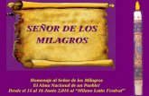 SEÑOR DE LOS MILAGROS 2008 - milanolatinfestival.it · A esta ceremonia concurrió el Virrey Conde de Lemos acompañado de su esposa, autoridades civiles y eclesiásticas. Por ...