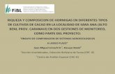 RIQUEZA Y COMPOSICION DE HORMIGAS EN DIFERENTES TIPOS DE ... · Para evaluar el efecto de los sistemas de producción de cacao sobre la riqueza de especies y la diversidad de ensamblaje