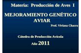 MEJORAMIENTO GENÉTICO AVIAR - dpd.fvet.uba.ardpd.fvet.uba.ar/cartelera/00012433.pdf · MEJORAMIENTO GENÉTICO AVIAR Prof. Viviana Chacra Cátedra de Producción Avícola Año 2011.