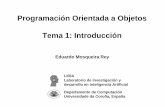 Programación Orientada a Objetos Tema 1: Introducciónquegrande.org/apuntes/EI/OPT/POO/teoria/06-07/tema_1... · LIDIA Laboratorio de Investigación y desarrollo en Inteligencia