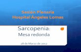 Sarcopenia: Mesa redonda 28 de Marzo de 2012 - …someal.org/wp-content/uploads/2015/12/Sarcopenia SOMEAL.pdf · Especificidad Muy alta Muy alta Alta Alta Personal Altamente ... Los