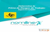 Determina la Prima de Riesgos de Trabajo - nomilinea.mxnomilinea.mx/portal/mssn/portal/images/pdf/prt.pdf · establecer medidas preventivas para la seguridad en el trabajo. ... La