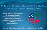 Alianza Estatal México-EE.UU. (CWAG) La Paz, Baja ... · que está puesto a prueba durante el juicio ... Preguntas breves 2) Preguntas Sugestivas – ¿Sí o No ? (Afirmaciones en