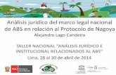 Alejandro Lago Candeira TALLER NACIONAL “ANÁLISIS …genesperu.minam.gob.pe/wp-content/uploads/2016/09/01.-A.-Lago.pdf · sobre sus RG y conocimientos tradicionales ... (OMPI):