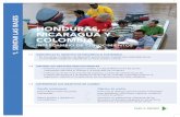 HONDURAS, NICARAGUA Y COLOMBIA - thegef.org · 2. DEFINIR 2.1 IDENTIFICAR A LOS PARTICIPANTES » Participantes de organismos públicos en el marco regulatorio y de titularización