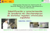 Identificación y caracterización de levaduras no ... RM2006-00012.pdf · Identificación y caracterización de levaduras no-Saccharomyces de distintas regiones vitivinícolas españolas