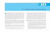 E - BANCA EN COSTA RICA - prosic.ucr.ac.cr · Este nuevo tipo de banca, que llamamos banca ... Es común que los sistemas organiza-tivos y los medios ... mientos de títulos públicos