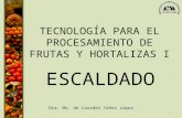 TECNOLOGÍA PARA EL PROCESAMIENTO DE FRUTAS Y …sgpwe.izt.uam.mx/files/users/uami/lyanez/Escaldado... · PPT file · Web view2010-12-15 · TECNOLOGÍA PARA EL PROCESAMIENTO DE