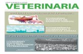 INFORMACIÓN VETERINARIA - colvet.es veterinaria 3... · INFORMACIÓN VETERINARIA 3 EDITORIAL D os citas imprescindibles en otoño y un encuentro que puede ser histórico en primavera.