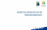 ASPECTOS ESPECIFICOS DE PREADMISIBILIDAD - …sitio.gorebiobio.cl/wp-content/uploads/2015/03/ASPECTOS-ESPECIFICOS... · aspectos especificos de preadmisibilidad . activos no financieros
