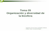 Tema 05 Organización y diversidad de la biosfera · Tema 05 Organización y diversidad de la biosfera ... El espacio de fases Si eliminamos el tiempo y ... El parásito vive de los