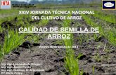 CALIDAD DE SEMILLA DE ARROZ - proarroz.com.arproarroz.com.ar/static/presentaciones/calidad-de-semilla-de-arroz... · ARROZ nIstitutoNacionalde TecnologíaAgropecuaria XXIV JORNADA