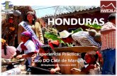HONDURAS - fao.org · • Marcala ha sido una de las zonas cafetaleras de mayor tradición en Honduras, tuvo su auge con ... interesante de protección del nombre, permitida en la
