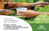 Trabajo estratégico de la FAO · TRABAJO ESTRATÉGICO DE LA FAO PARA UNA ALIMENTACIÓN Y UNA AGRICULTURA SOSTENIBLES La visión de la FAO ... Se trata de un proceso que engloba contextos