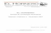 EL HORNERO - digital.bl.fcen.uba.ardigital.bl.fcen.uba.ar/download/hornero/hornero_v004_n01.pdf · Segunda lista de aves colectadas en la reg. ribereña de la Prov. de Bs. As. 23