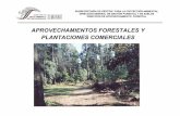 APROVECHAMIENTOS FORESTALES Y PLANTACIONES … · TRÁMITES SOBRE APROVECHAMIENTOS FORESTALES MADERABLES • Autorización de programas de manejo forestal. Trámite SEMARNAT-03-003,