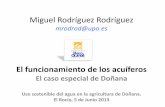 Miguel Rodríguez Rodríguez - awsassets.wwf.esawsassets.wwf.es/downloads/acuiferodonana_miguelrodriguez_upo.pdf · CORTES GEOLÓGICOS . CORTES GEOLÓGICOS 1 Y 2 LA UNIDAD DELTAICA