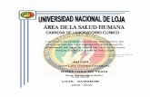AUTOR José Luis Gualpa Caraguay DIRECTORA DE TESIS Dra ...dspace.unl.edu.ec/jspui/bitstream/123456789/6497/1/José Luis... · valores referenciales de recuento de plaquetas en la