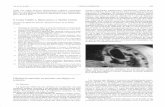 Vol. 23, N.º 6, 2006 CARTAS AL DIRECTOR - scielo.isciii.esscielo.isciii.es/pdf/ami/v23n6/carta2.pdf · Dentro de las pruebas de imagen, la RMN es la técnica de elec-ción ya que,