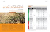 ENFERMEDADES - Manual Fitosanitario 60.pdf · productores como técnicos entendieron y aceptaron el uso de parámetros para medir ... la última campaña 2013 ... des se deba descuidar