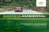 AGENDAAMBIENTAL - dar.org.pedar.org.pe/archivos/publicacion/boletin_ambiental_dar.pdf · Impactos del Corredor Vial Interoceánico Sur - ... Propuestas para mejorar el diseño de