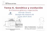 Tema 6. Genética y evolución - dpbiologia.weebly.comdpbiologia.weebly.com/uploads/2/1/5/5/21553524/gtp_t6.genética_y... · El aislamiento de los acervos génicos puede ocurrir