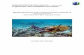 SEGUNDA REUNIÓN DEL COMITÉ CIENTÍFICO-TÉCNICO REGIONAL DE ...cpps.dyndns.info/cpps-docs-web/planaccion/docs2016/Abril/informes... · de reptiles de Colombia, en donde las tortugas