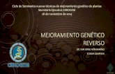Mejoramiento genético reverso - conacyt.gob.mx · Ciclo de Seminarios nuevas técnicas de mejoramiento genético de plantas Secretaría Ejecutiva CIBIOGEM 28 de noviembre de 2014