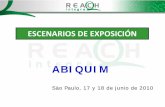 ABIQUIMcanais.abiquim.org.br/reachpdfs/Reach_11_Francisco_Perez.pdf · 2015-09-10 · fabricación y usos en toda la cadena de suministro •Informe de la seguridad química ... Ciclohexano.