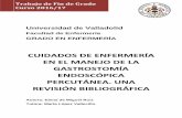 CUIDADOS DE ENFERMERÍA EN EL MANEJO DE LA …uvadoc.uva.es/bitstream/10324/24817/1/TFG-H949.pdf · RESUMEN Introducción: La gastrostomía endoscópica percutánea es la técnica