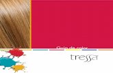 Guía de color - tressa.com · • Utiliza colorantes grandes y directos • Usando calor ayuda levantar la cutícula colocando los colorantes grandes debajo de la cutícula • Puede
