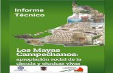 INFORME TÉCNICO LOS MAYAS CAMPECHANOS 187875 · Las tradiciones y costumbres mayas han sido parte integral de la vida de esta población, pero el acceso a nuevas formas de ... apropiación