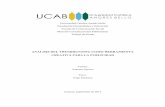 ANÁLISIS DEL TRENDHUNTING COMO HERRAMIENTA …biblioteca2.ucab.edu.ve/anexos/biblioteca/marc/texto/AAS5777.pdf · 5.1 Matriz de contenido: Entrevistas a Expertos.....58 VI. CONCLUSIONES