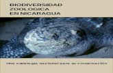 BIODIVERSIDAD ZOOLOGICA EN NICARAGUA - Bio-Nica.info · 2007-03-27 · Planes de Manejo para Especies Amenazadas y en Peligro de Extinción ... sostenible y distribución equitativa