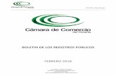 BOLETIN DE LOS REGISTROS PÚBLICOS - camaraocana.comcamaraocana.com/wp-content/uploads/BOLETIN-DE-LA-NOTICIA-MERCANTIL... · a través de la Dirección de Sistemas en cabeza del Ingeniero