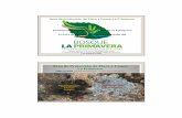 Área de Protección de Flora y Fauna - organicaeditores.mx · Participación Ciudadana en el Bosque la Primavera II Foro de Investigación y Conservación del Bosque la Primavera