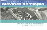 manua - bdigital.zamorano.edu · Los términos y palabras subrayados en el texto de este manual están incluidos y defini ... producción de alevines de tilapia. Una incubadora de