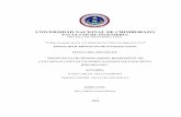 UNIVERSIDAD NACIONAL DE CHIMBORAZO FACULTAD DE …dspace.unach.edu.ec/bitstream/51000/461/1/UNACH-EC-IC... · 2016-03-02 · EFECTIVA DE COLUMNA CORTA EN UNA SECCIÓN CUALQUIERA ..