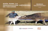 GUÍA PARA LA REDESA INSEMINACION ARTIFICIAL REDES ... · presentación i. la crianza de ganado vacuno ii. anatomia y fisiologia del sistema reproductivo de la vaca iii. la deteccion