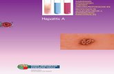 Q Cub Hepatitis A 13/7/07 13:19 Página 1 - Euskadi.eus · miológico de la enfermedad observándose una disminución de las tasas y un retraso en la ... (alrededor de 2 por 1.000