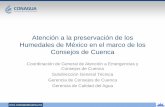 Atención a la preservación de los Humedales de México ... · •Presentación del tema de la preservación de los Humedales y su ... Primera Etapa / 2010 Acuerdo de creación del