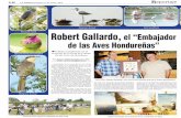 Aves acuáticas Robert Gallardo, el “Embajador de las Aves ... · John Sill y Robert Gallardo, con una de las láminas-arte de la futura publicación. Feria de aves playeros realizada