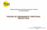 GERENCIA REGIONAL DE RECURSOS NATURALES Y …propuestaciudadana.org.pe/wp-content/uploads/2016/05/Piura.pdf · PROCESO PARTICIPATIVO DE ZEE EN PIURA D.S. 087-2004-PCM – Reglamento