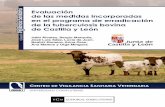 EVALUACIÓN DE LAS MEDIDAS INCORPORADAS EN EL bovina - Evaluacion... · la erradicación de la tuberculosis y brucelosis en el ganado de la especie bovina y de la brucelosis en el
