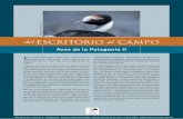 Aves de la Patagonia II - awsassets.wwfar.panda.orgawsassets.wwfar.panda.org/downloads/rev_108_aves_de_patagonia_ii_1.pdf · En esta segunda parte de “Aves de la Patagonia” sumamos