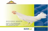 Guia de manejo de la nutricion Bovans white - Mercoaves de nutricao Bovans White.pdf · El fenómeno de que las aves encuentre el alimento más o menos apetecible depende en gran