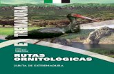 Colirrojo tizón - Birding in Extremadura · de Extremadura para nombrar a su último modelo en mochilas destinada al traslado de material óptico para naturalistas. La reciente declaración