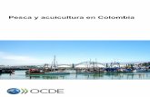 Pesca y acuicultura en Colombia - oecd.org · clave para que Colombia se alinee con las mejores prácticas y políticas de la OCDE. ... Julián Botero Arango amablemente intercambiaron