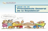 ¿Qué es el - cna.hn es el Presupuesto FOSDEH.pdf · En Honduras, los derechos civiles, escritos en la ... y de reunión, de organización política, sindical o comunitaria, la participación